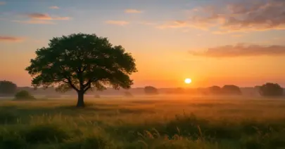 Does Life Have a Purpose? Does Life Have a Purpose?